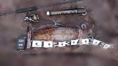 まさかこんな所に！？